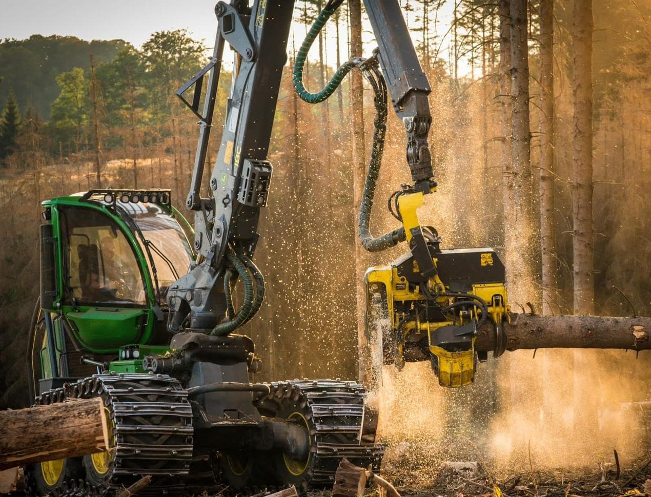 Motorsäge oder Profi? Wann sich die Eigenleistung im Wald finanziell rächt